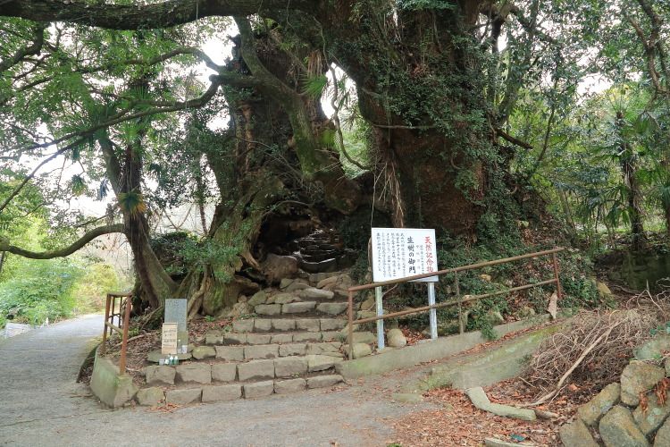 生樹の御門9