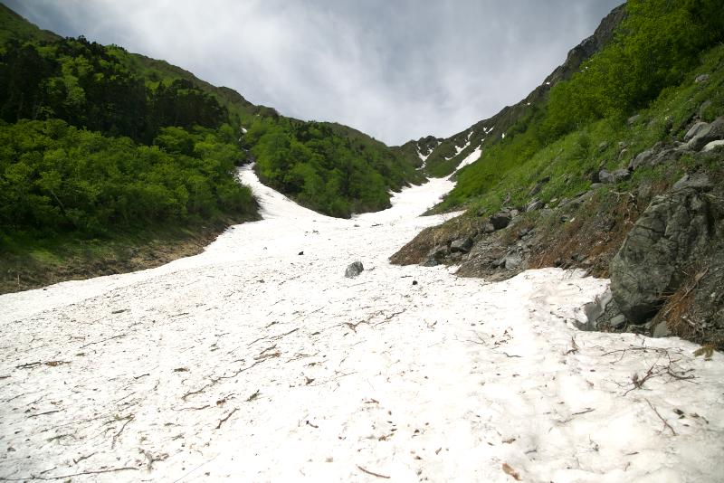 大樺沢雪渓を登る