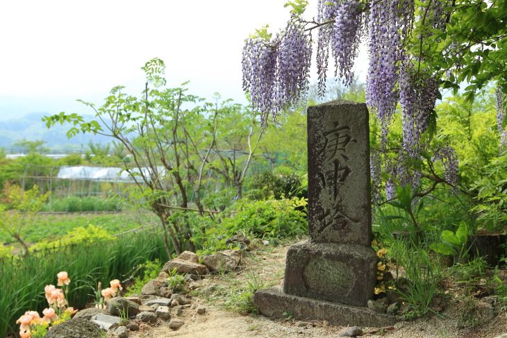 古い石碑と藤の花