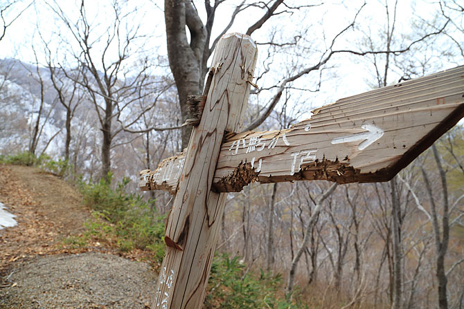 ブナの森公園クマにかじられた標識