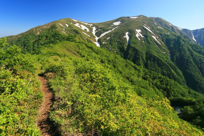 大源太山との分岐点を過ぎて森を抜けると平標山と仙ノ倉山の大パノラマが