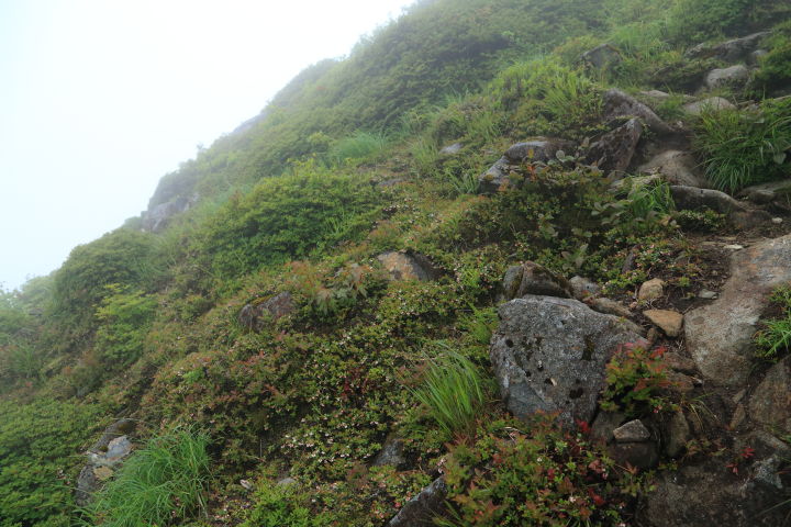 笠ヶ岳避難小屋の建つ所は山と山との鞍部になっていて丁度風の通り道