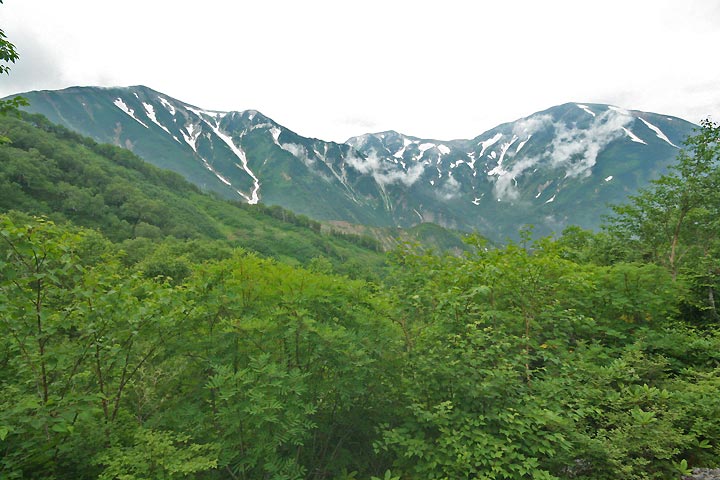 樹林帯から望む朝日岳（右）赤男山（真中）雪倉岳（左）