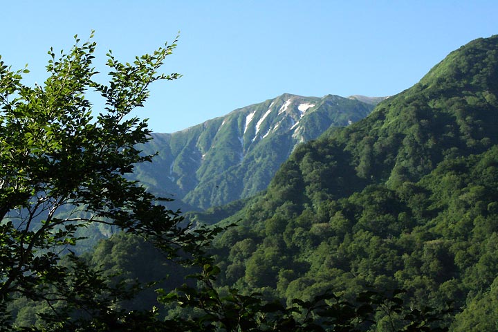 五輪尾根への登り途中で後ろを振り返ると小蓮華岳（2766ｍ）が見えてきました。アルプスの山懐深くへやってきたぞーって実感が湧いた瞬間です