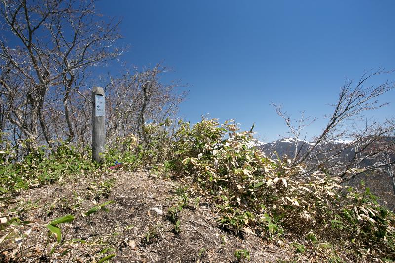 キワノ平ノ頭の山頂は小さな標識がポツンと立っているだけ
