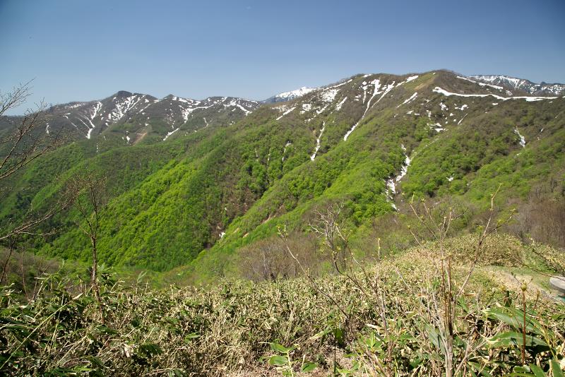 長倉山から望んだ稲包山（左）とキワノ平ノ頭（右）