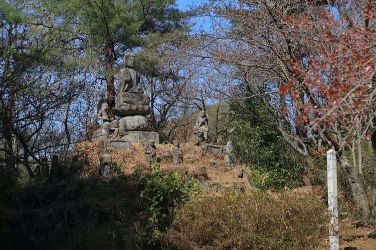 羅漢山の参道を登った先はこんもりとした山頂で、ここには大きな石仏が立っていました