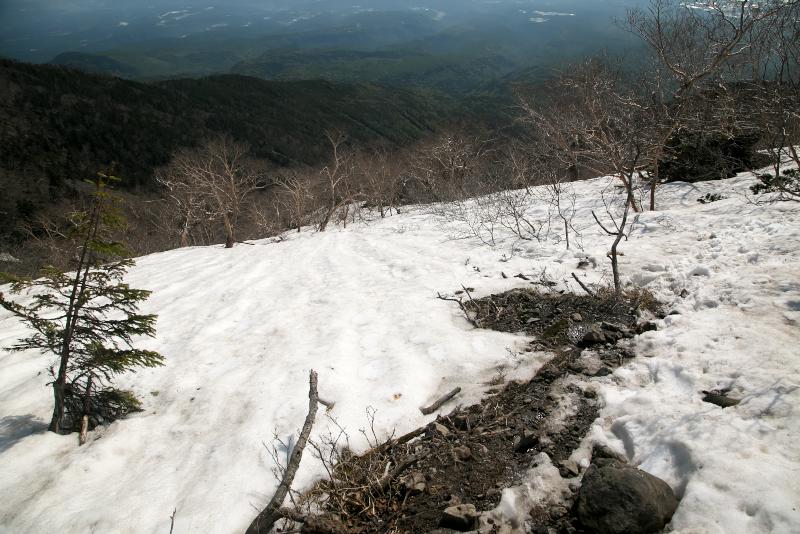 八ヶ岳杣添尾根ダケカンバの森の残雪