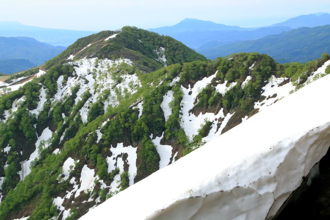谷川岳西黒尾根から望む天神尾根。残雪と新緑のコントラストが綺麗