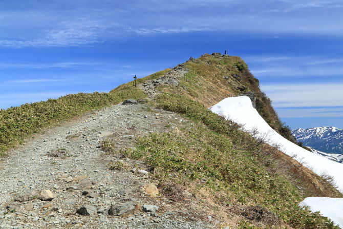 雪田を越えると谷川岳トマの耳山頂は目と鼻の先。あともう一息です！