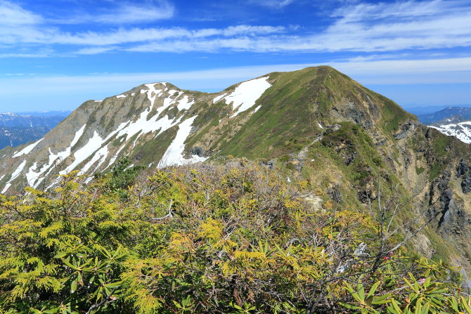 行く手にそびえる一の倉岳（右）と茂倉岳（左）
