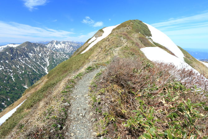 雪渓を越えて茂倉岳最後の登りへ