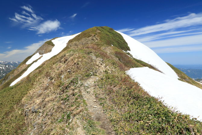 茂倉岳山頂はもうすぐだ。あと一息ガンバレ