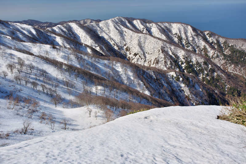 白神岳から延びる山裾はどこもまだ雪で真っ白