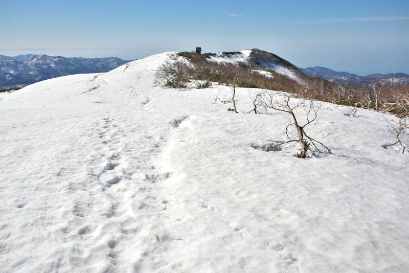 白神岳主稜は台形状のなだらかな尾根道。向こうに白神岳山頂が見えてきました