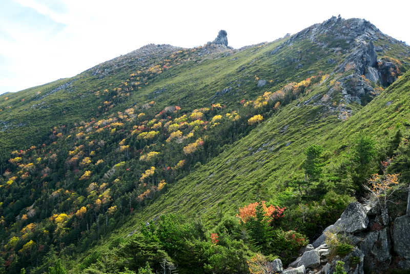 砂払いの頭から望む金峰山。山肌に広がる紅葉とハイマツの緑の組み合わせがとてもキレイ