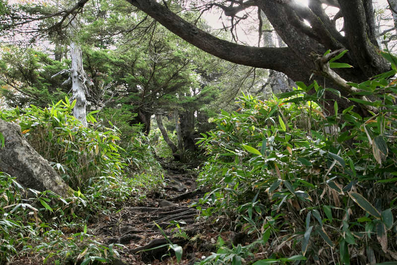 黒姫山外輪山の急斜面を登り切り外輪山。縁にそって続く登山道を進んでいく
