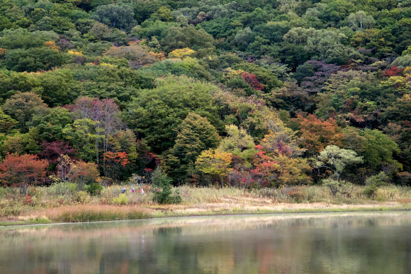 黒姫山古池の周りの木々はほんのり紅葉で色づいています