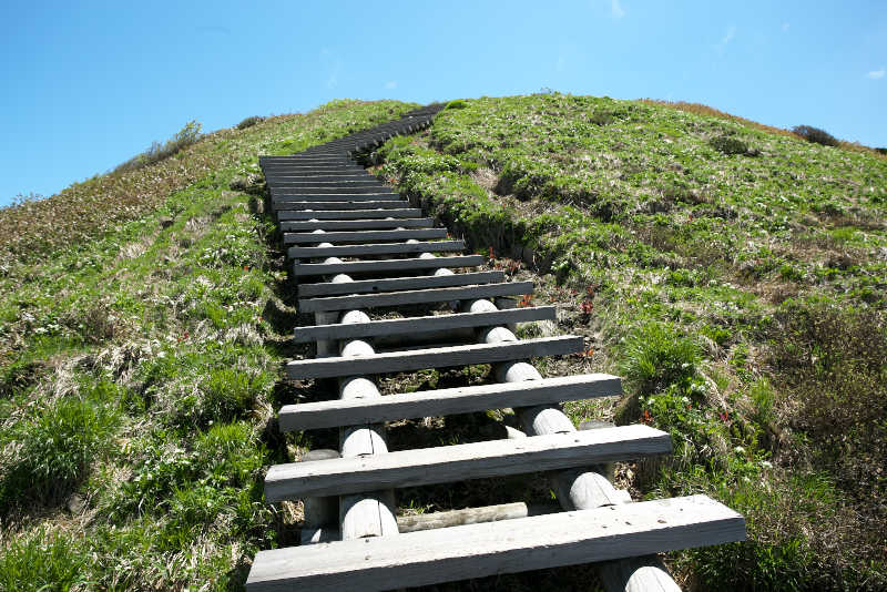仙ノ倉山最後の登りは木道の急な登りで、その先が山頂。あともう一息