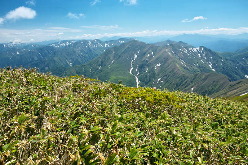 山頂東側は万太郎山や谷川岳、茂倉岳といった谷川連峰の主峰群が屏風のように連なってます