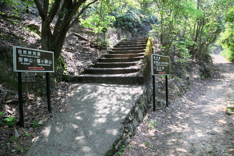 安神山の分岐道