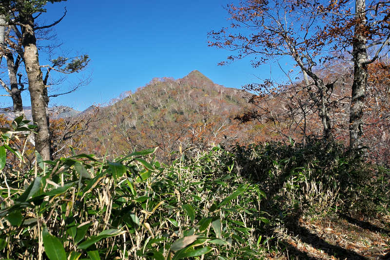 秋、紅葉の稲包山ピラミダルな稲包山