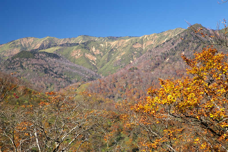 秋、紅葉の稲包山尾根筋から望む上ノ倉山方面の山並み