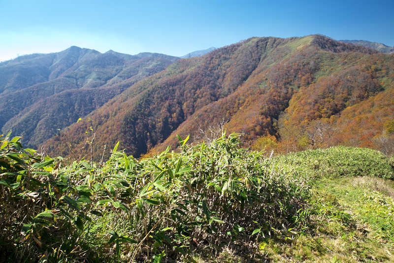  長倉山の登り途中で見た稲包山とキワノ平ノ頭